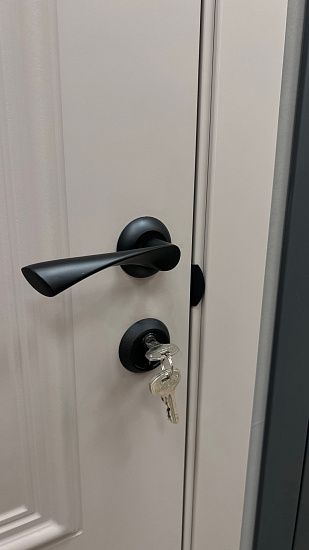 Межкомнатная дверь  